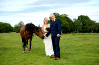 Tim & Clare. Wedding Highlights gallery. Balmer Lawn hotel New Forest